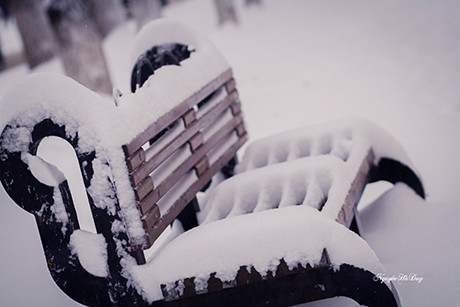 Tuyết trắng nước Nga qua ống kính du học sinh Việt ảnh 4