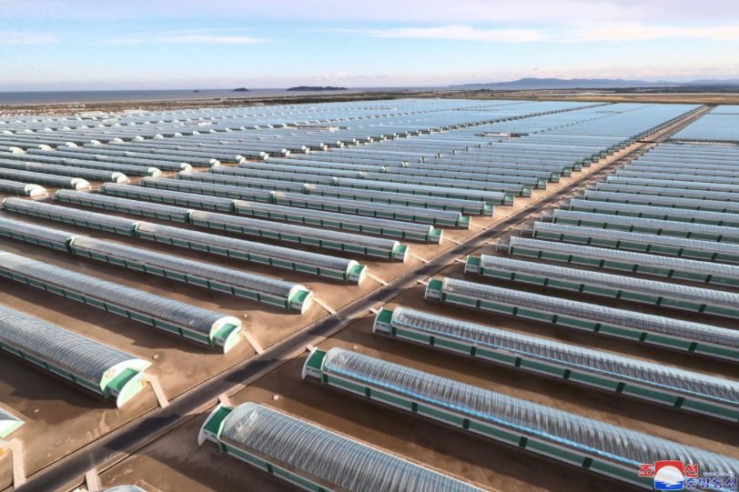 Nông trại mới gồm 850 khối nhà kính, nằm trên diện tích 280ha. (Ảnh: KCNA)