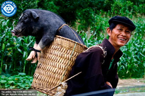 Ban tổ chức cũng trao 3 giải Ba cho tác phẩm 