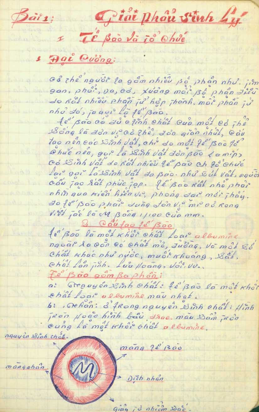 Chỉ có thể nhận biết tác giả qua nét chữ trong nhật ký. Chỉ có thể nhận biết tác giả qua nét chữ trong nhật ký