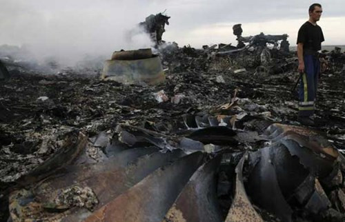 Lời kể hãi hùng của nhân chứng khi máy bay MH17 rơi ảnh 1