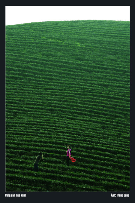 Nét dịu dàng trong Cung đàn mùa Xuân.