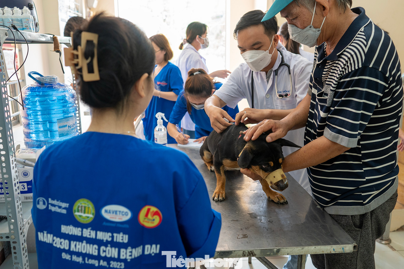 Theo Tổ chức Y tế Thế giới (WHO), mỗi năm trên thế giới ghi nhận khoảng 59.000 người tử vong vì căn bệnh này. Tại Việt Nam, mặc dù đã đạt được một số tiến bộ trong 10 năm qua nhưng vẫn tiếp tục ghi nhận từ 70 đến 100 trường hợp tử vong do bệnh dại mỗi năm. Riêng năm 2022, cả nước ghi nhận gần 60 trường hợp.