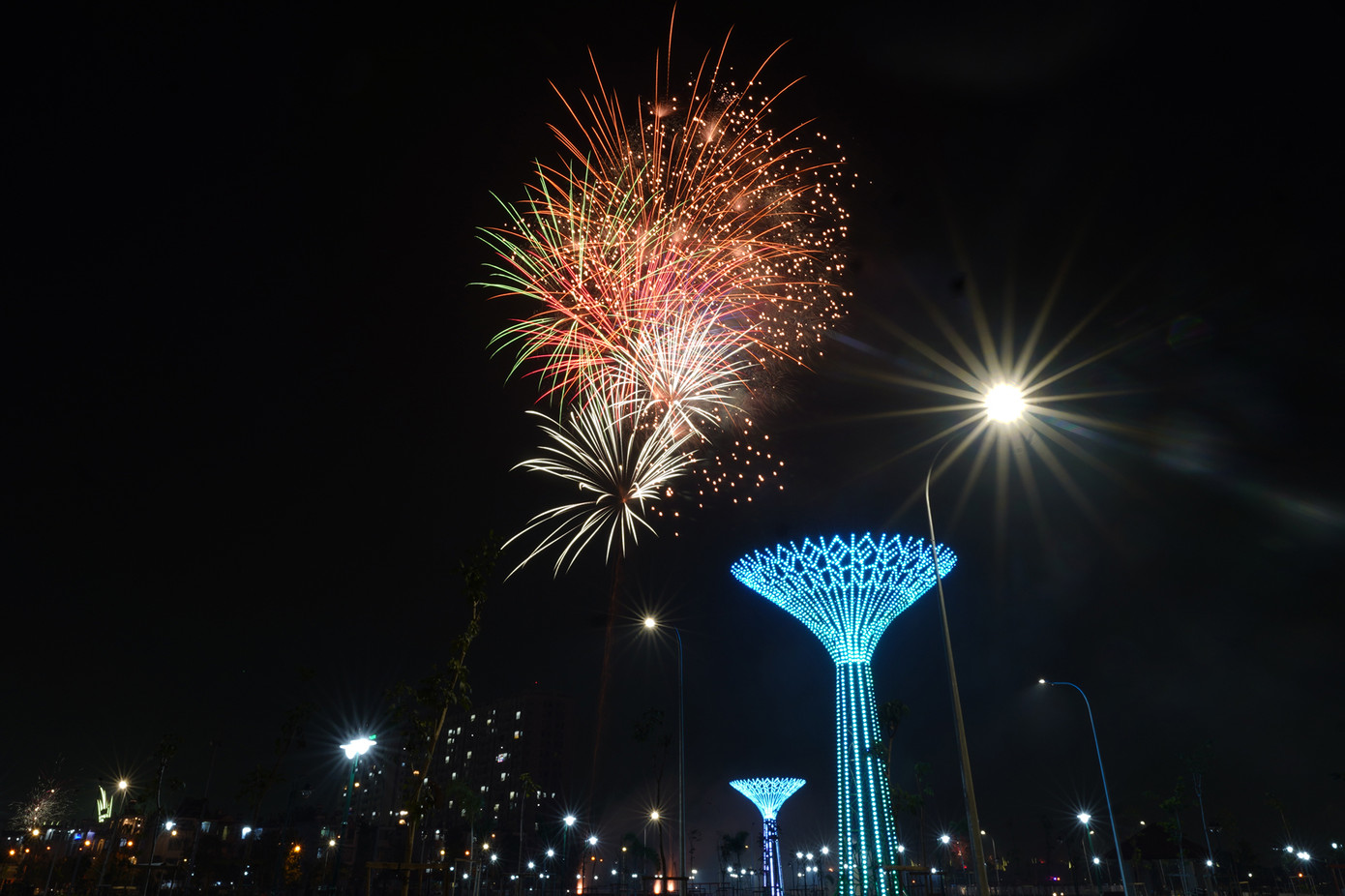 Pháo hoa rực sáng đón năm mới Ất Tỵ an lành, thịnh vượng ảnh 173 Pháo hoa rực sáng đón năm mới Ất Tỵ an lành, thịnh vượng ảnh 173