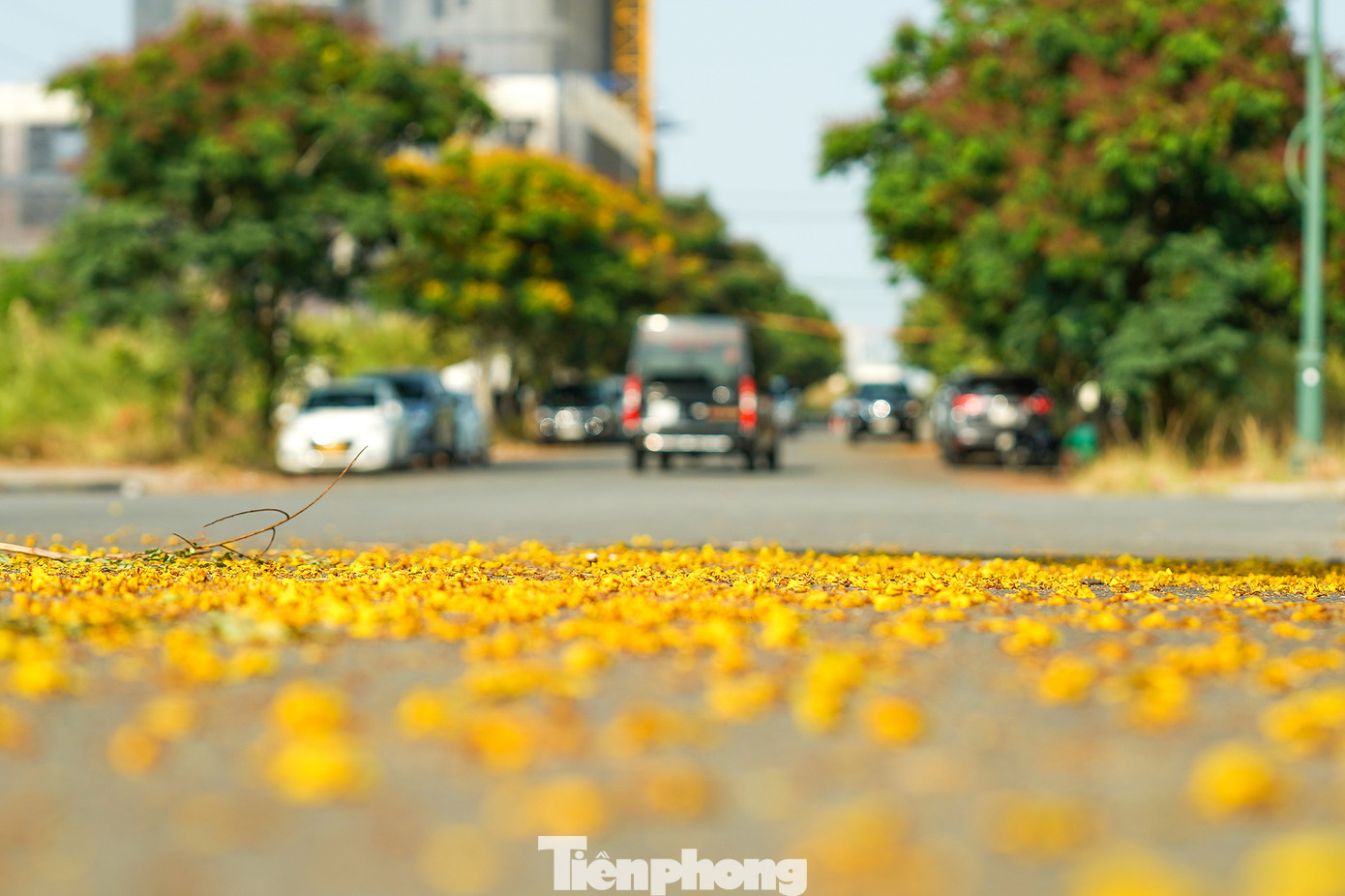 Khu đô thị mới Thủ Thiêm, TP Thủ Đức, TP HCM được chia làm 8 phân khu chức năng. Trong đó, khu phức hợp thông minh (Thủ Thiêm Eco Smart City) tại khu chức năng 2a có diện tích 7,6 ha.