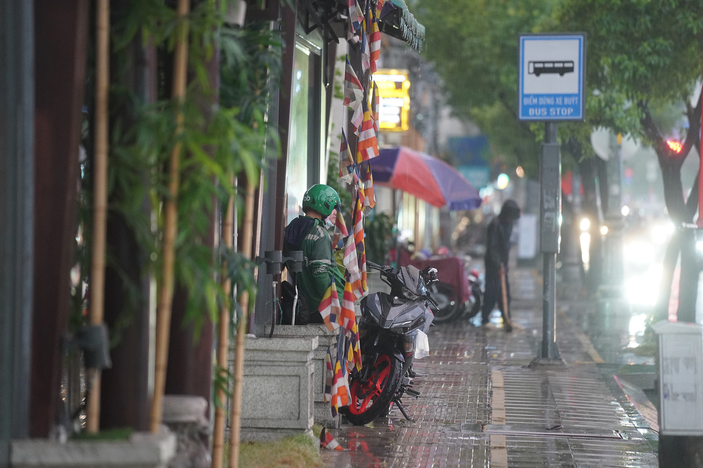 Năm 2024 - Năm của niềm tin và hy vọng ảnh 4 Năm 2024 - Năm của niềm tin và hy vọng ảnh 4