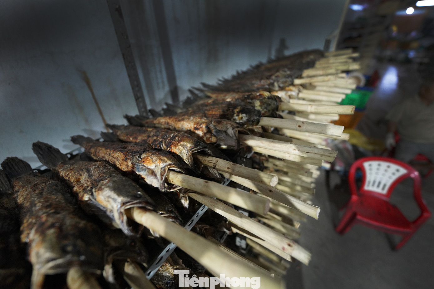 Hàng trăm con cá lóc nướng mía được xử lý sơ để kịp phục vụ khách hàng. Cá là biểu tượng của sự sinh sôi nảy nở và phát tài phát lộc trong nhiều nền văn hóa Đông Á, trong đó có Việt Nam. Cá lóc nướng thường được dùng trong các nghi lễ cúng Thần tài. Người dân tin rằng cá sẽ giúp cầu mong tài lộc, may mắn, đặc biệt là trong các công việc kinh doanh, buôn bán. Hàng trăm con cá lóc nướng mía được xử lý sơ để kịp phục vụ khách hàng. Cá là biểu tượng của sự sinh sôi nảy nở và phát tài phát lộc trong nhiều nền văn hóa Đông Á, trong đó có Việt Nam. Cá lóc nướng thường được dùng trong các nghi lễ cúng Thần tài. Người dân tin rằng cá sẽ giúp cầu mong tài lộc, may mắn, đặc biệt là trong các công việc kinh doanh, buôn bán.