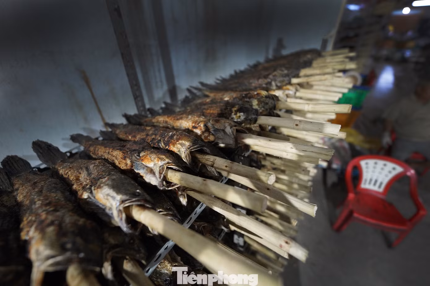 Hàng trăm con cá lóc nướng mía được xử lý sơ để kịp phục vụ khách hàng. Cá là biểu tượng của sự sinh sôi nảy nở và phát tài phát lộc trong nhiều nền văn hóa Đông Á, trong đó có Việt Nam. Cá lóc nướng thường được dùng trong các nghi lễ cúng Thần tài. Người dân tin rằng cá sẽ giúp cầu mong tài lộc, may mắn, đặc biệt là trong các công việc kinh doanh, buôn bán.