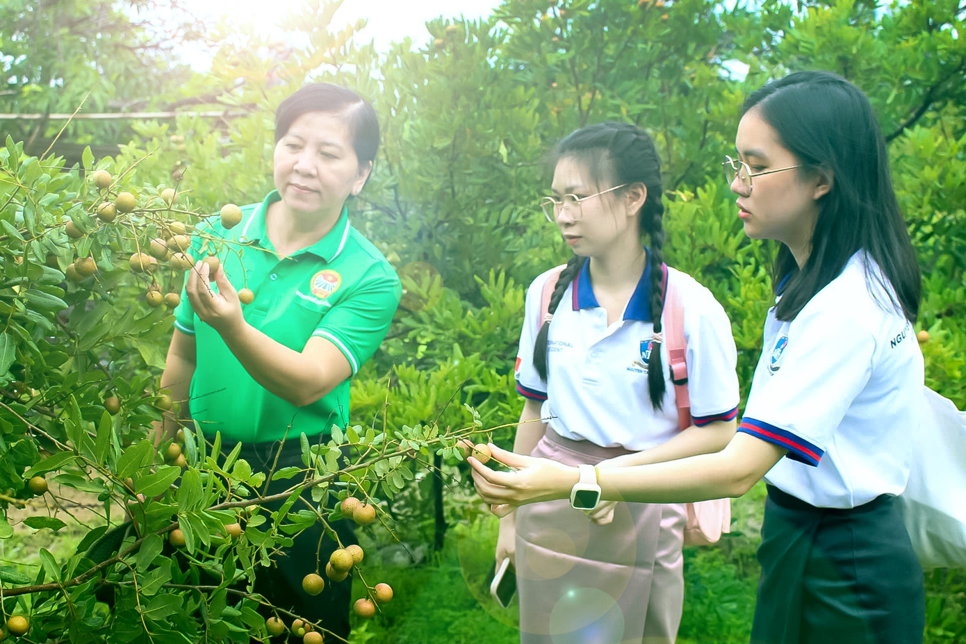 Bà Huỳnh Thị Kim Xuyến - Phó Chủ tịch Thường trực Hội nông dân TPHCM đang giới thiệu về đặc tính cây nhãn cho các bạn sinh viên. Nhãn là cây trồng cả ở vùng nhiệt đới và cận nhiệt đới, chịu hạn khá tốt. Nhãn ưa đất cát pha, đất thịt và đất xám. Tại Cần Giờ, nhãn được trồng ở trên đất cát ven biển. Nhãn chịu úng kém nên cần phải làm mương thoát nước. Địa điểm thực hiện mô hình phải có điện để vận hành hệ thống tưới phun mưa. Nhãn không cần nhiều công lao động và nước tưới như các cây trồng khác. Ảnh: Thanh Tâm Bà Huỳnh Thị Kim Xuyến - Phó Chủ tịch Thường trực Hội nông dân TPHCM đang giới thiệu về đặc tính cây nhãn cho các bạn sinh viên. Nhãn là cây trồng cả ở vùng nhiệt đới và cận nhiệt đới, chịu hạn khá tốt. Nhãn ưa đất cát pha, đất thịt và đất xám. Tại Cần Giờ, nhãn được trồng ở trên đất cát ven biển. Nhãn chịu úng kém nên cần phải làm mương thoát nước. Địa điểm thực hiện mô hình phải có điện để vận hành hệ thống tưới phun mưa. Nhãn không cần nhiều công lao động và nước tưới như các cây trồng khác. Ảnh: Thanh Tâm