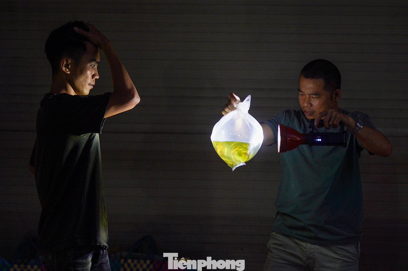 Trong bóng tối lờ mờ hay dưới ánh đèn vàng, người mua, kẻ bán trả giá xôn xao cả một khúc đường Trần Hưng Đạo. Theo các chủ hàng, giá cá tuỳ thuộc từng loại, kích cỡ, như cá ba đuôi có giá 180.000 đồng mỗi bịch 20 cá nhỏ, cá bảy màu 180.000 đến 200.000 đồng/bịch khoảng 20 cá nhỏ...