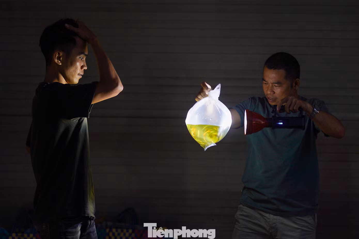 Trong bóng tối lờ mờ hay dưới ánh đèn vàng, người mua, kẻ bán trả giá xôn xao cả một khúc đường Trần Hưng Đạo. Theo các chủ hàng, giá cá tuỳ thuộc từng loại, kích cỡ, như cá ba đuôi có giá 180.000 đồng mỗi bịch 20 cá nhỏ, cá bảy màu 180.000 đến 200.000 đồng/bịch khoảng 20 cá nhỏ...