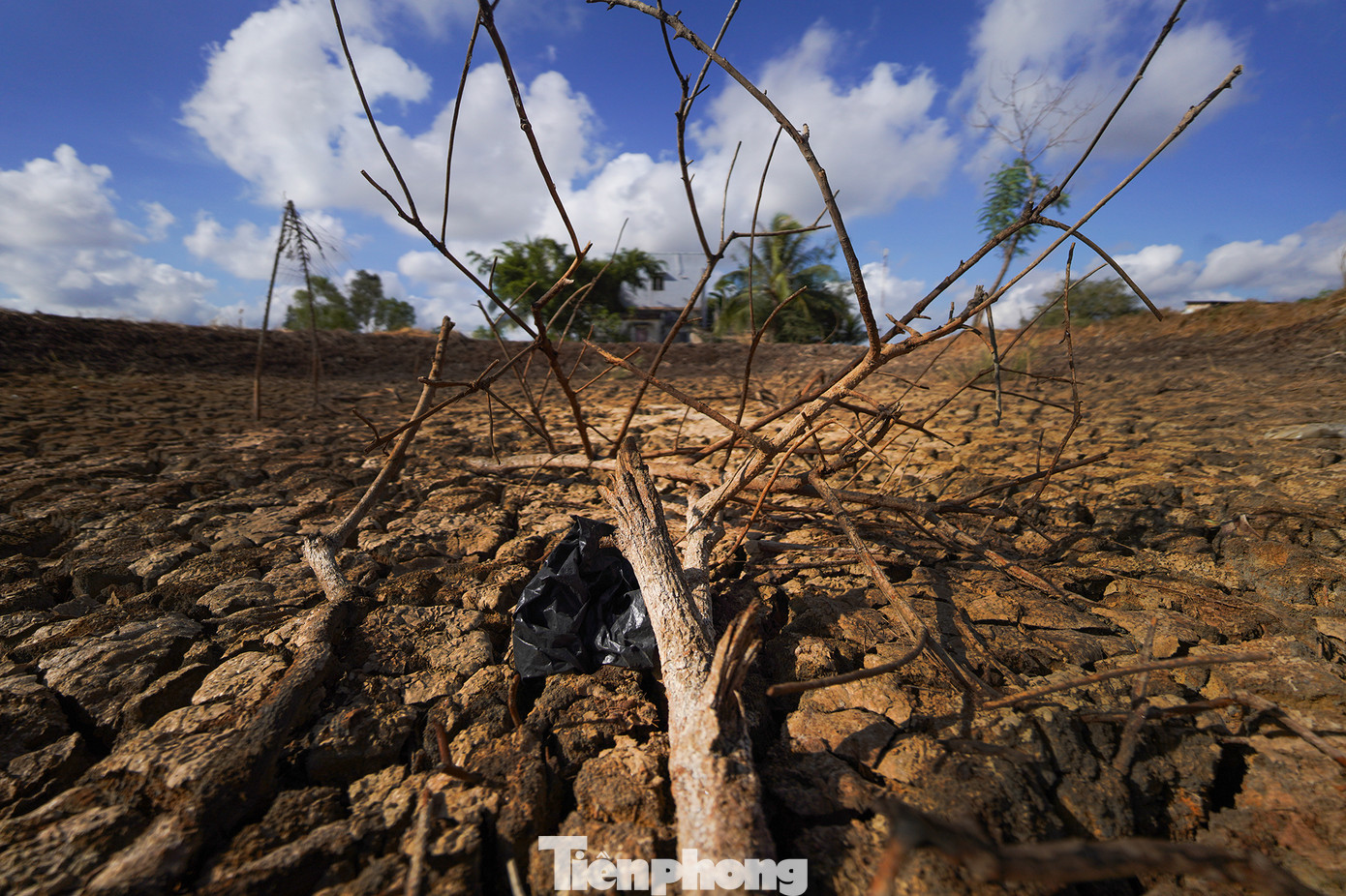 Huyện Cần Giuộc có khoảng hơn 6.100 hộ đang thiếu nước sạch với nhu cầu hơn 350m3/ngày. Nơi đây trở thành rốn hạn của tỉnh Long An. Huyện Cần Giuộc có khoảng hơn 6.100 hộ đang thiếu nước sạch với nhu cầu hơn 350m3/ngày. Nơi đây trở thành rốn hạn của tỉnh Long An.