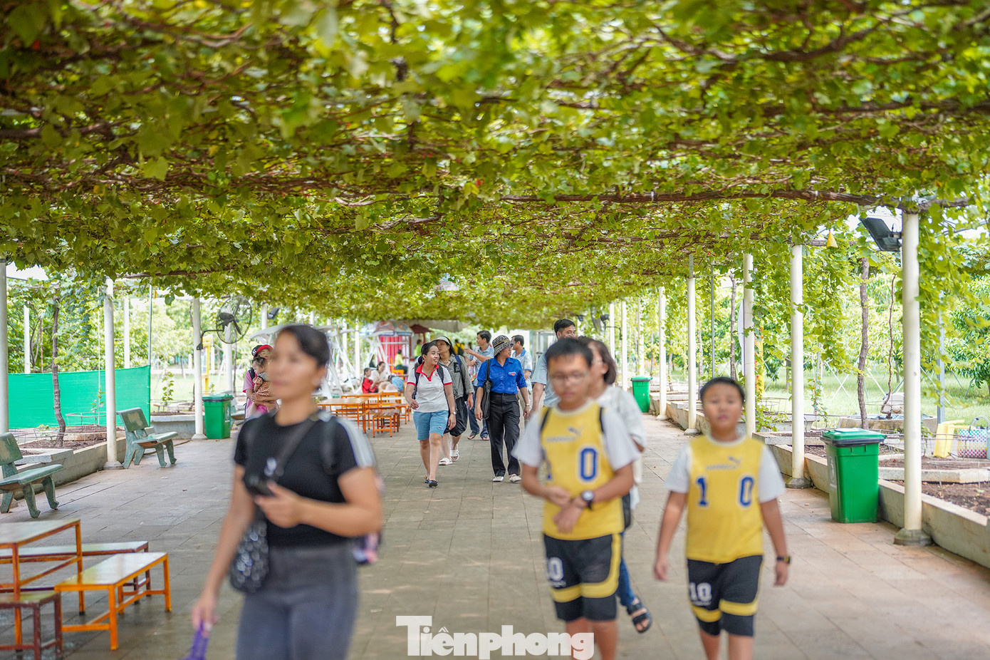 Theo bà Bùi Thị Tố Trinh - Phó Giám đốc Khu du lịch Suối Tiên, đơn vị này sẽ tặng miễn phí 2000 vé miễn phí nhân dịp 2/9. Ngoài ra, du khách còn có thể thưởng thức các chương trình giải trí hiện đại như xiếc Patin, chú hề vui nhộn biểu diễn bong bóng nghệ thuật, đại dương nhạc nước sôi động tại Biển Tiên Đồng. Tất cả đều phục vụ miễn phí, góp phần mang đến cho du khách những trải nghiệm thú vị và đáng nhớ về một kỳ nghỉ trọn vẹn đầy ý nghĩa trong dịp Lễ 2/9 khi đến KDL. Theo bà Bùi Thị Tố Trinh - Phó Giám đốc Khu du lịch Suối Tiên, đơn vị này sẽ tặng miễn phí 2000 vé miễn phí nhân dịp 2/9. Ngoài ra, du khách còn có thể thưởng thức các chương trình giải trí hiện đại như xiếc Patin, chú hề vui nhộn biểu diễn bong bóng nghệ thuật, đại dương nhạc nước sôi động tại Biển Tiên Đồng. Tất cả đều phục vụ miễn phí, góp phần mang đến cho du khách những trải nghiệm thú vị và đáng nhớ về một kỳ nghỉ trọn vẹn đầy ý nghĩa trong dịp Lễ 2/9 khi đến KDL.