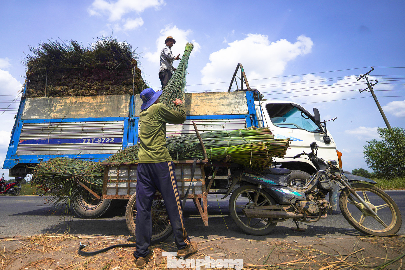 Với giá thương lái thu mua tận nơi như hiện nay, sau khi trừ các chi phí, hàng năm người dân trồng cỏ bàng ở xã Mỹ Hạnh Bắc thu lãi trên 100 triệu đồng/ha.