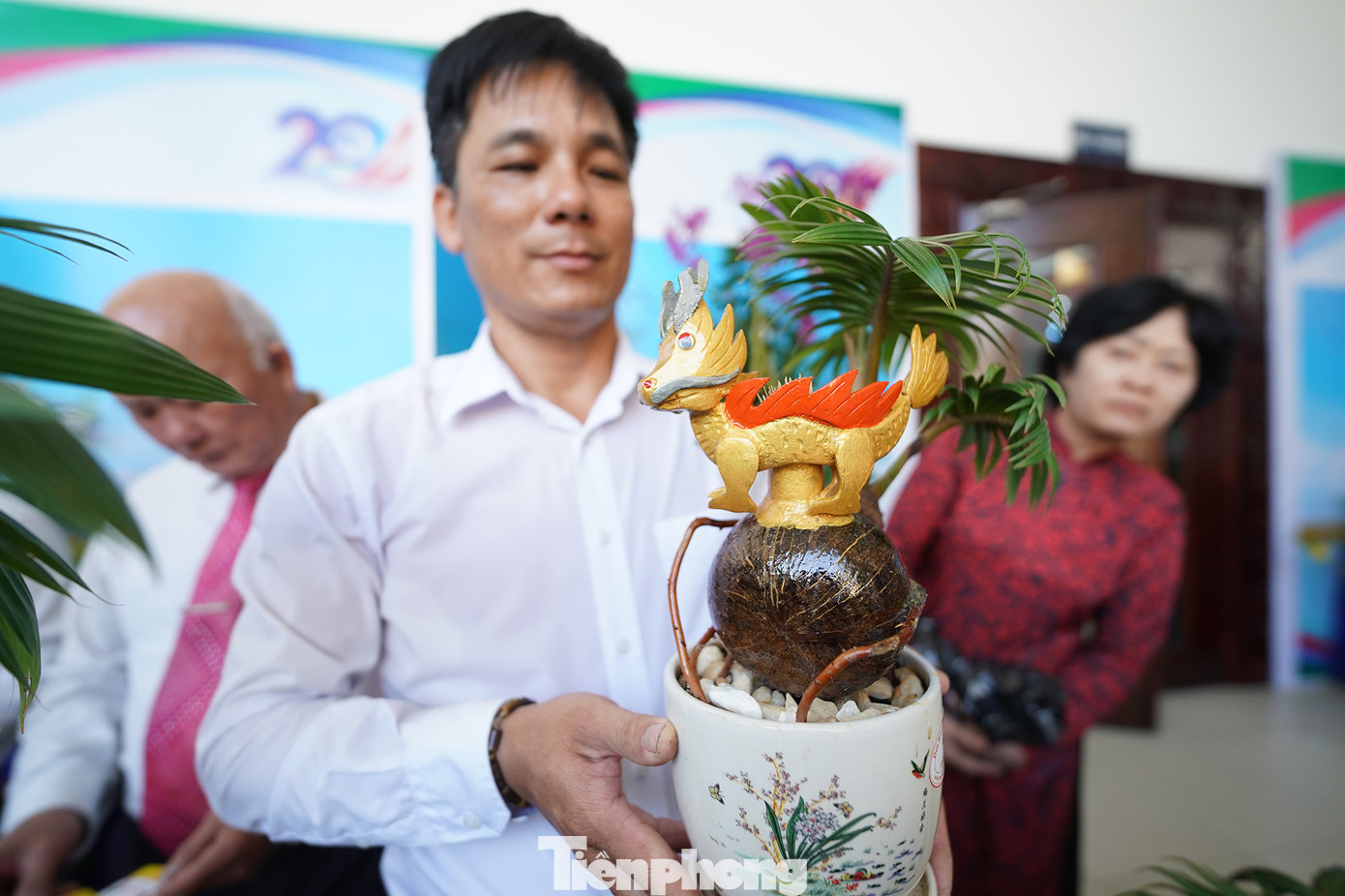 Chậu dừa bonsai cảnh hình linh vật Thìn (con Rồng).