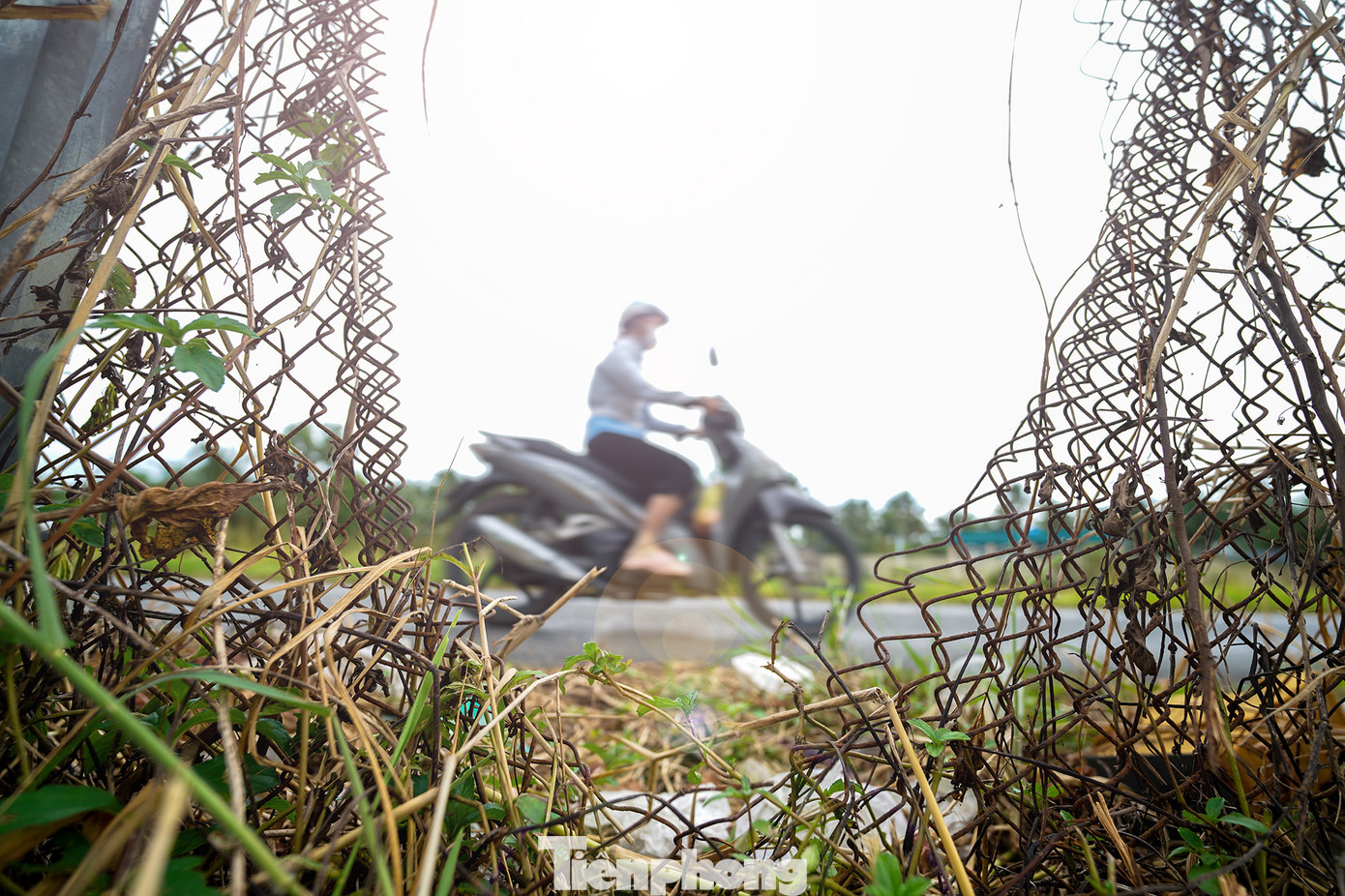 Nhiều đoạn đường biến thành nơi tập kết rác trộm và rác thải sinh hoạt, tạo nên hình ảnh ô nhiễm, mất mỹ quan.