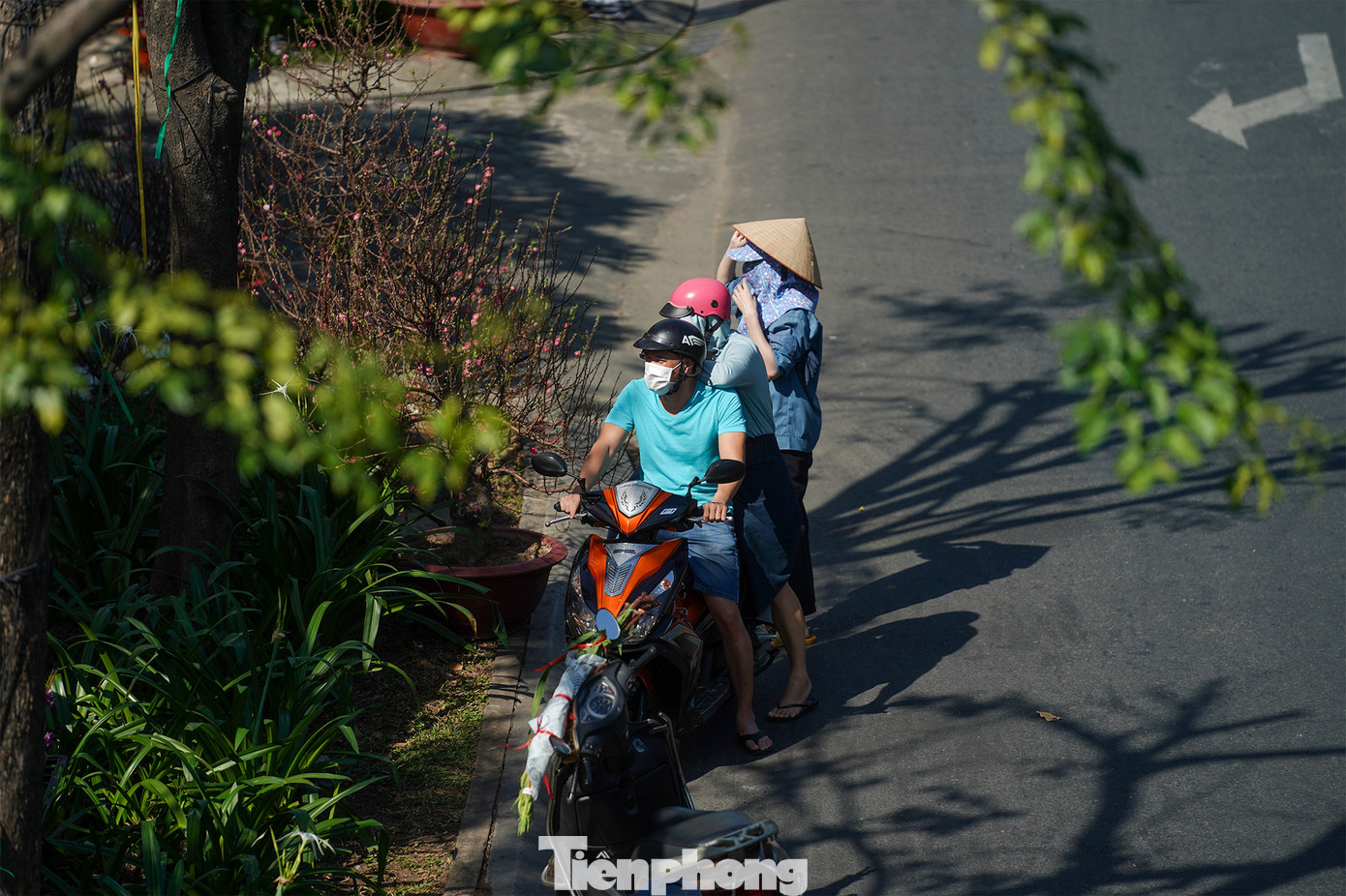 "Mấy chậu đào gần hai triệu chậu, thiệt rất khó mua, mặc dù rất thích", một người dân chia sẻ.