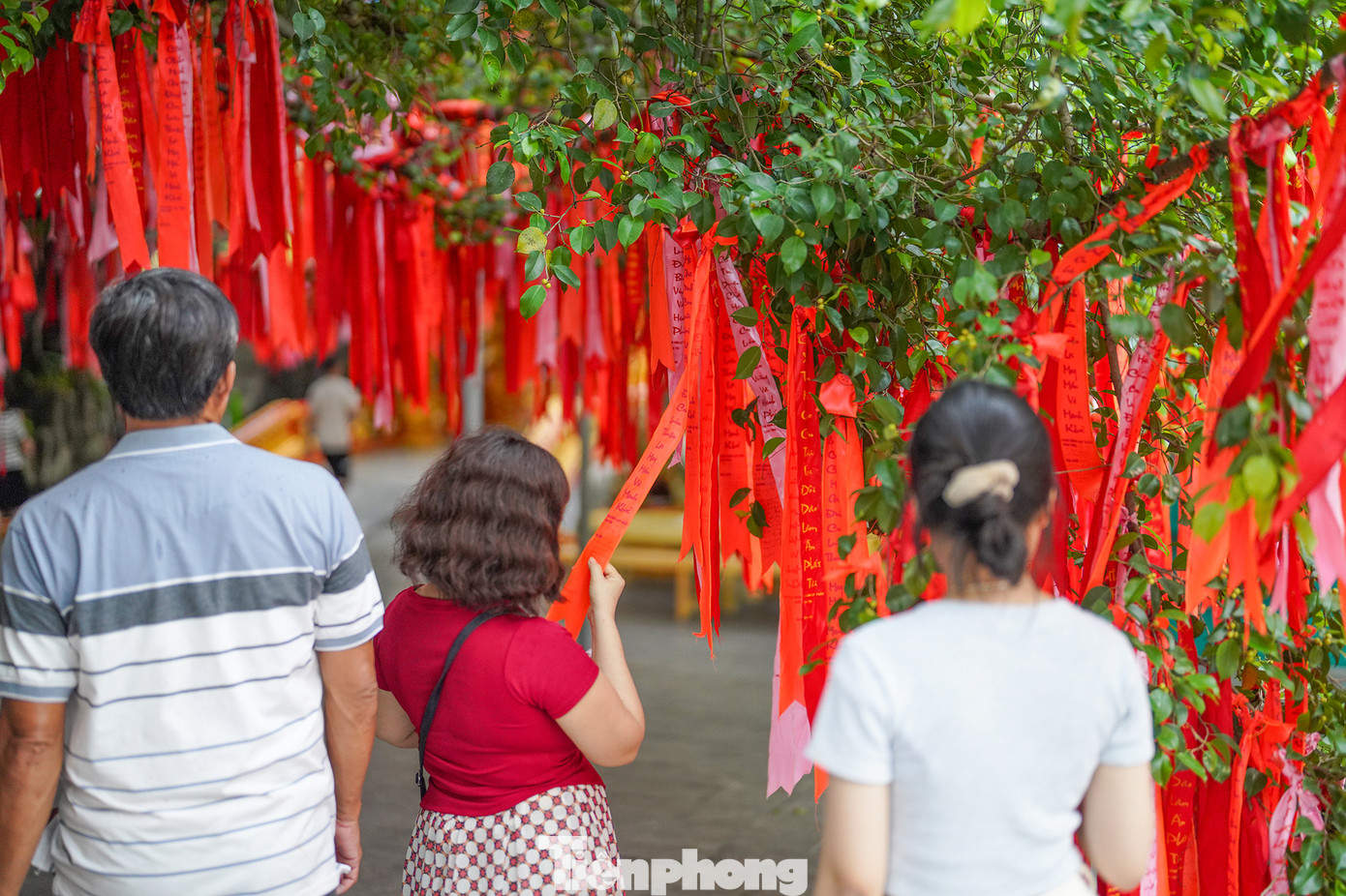 Cây ước nguyện là cây đa cổ thụ hơn 300 tuổi, nằm trong khu "rừng nguyên sinh" của Suối Tiên. Cây có tán rộng, cành lá xum xuê, cao vút lên trời xanh. Điều đặc biệt của cây là những dải lụa hồng, đỏ được người dân, du khách tham quan treo lên cây, ghi những lời ước nguyện, chủ yếu là về sức khỏe, cầu tình duyên, học hành, công việc,... Cây ước nguyện là cây đa cổ thụ hơn 300 tuổi, nằm trong khu "rừng nguyên sinh" của Suối Tiên. Cây có tán rộng, cành lá xum xuê, cao vút lên trời xanh. Điều đặc biệt của cây là những dải lụa hồng, đỏ được người dân, du khách tham quan treo lên cây, ghi những lời ước nguyện, chủ yếu là về sức khỏe, cầu tình duyên, học hành, công việc,...