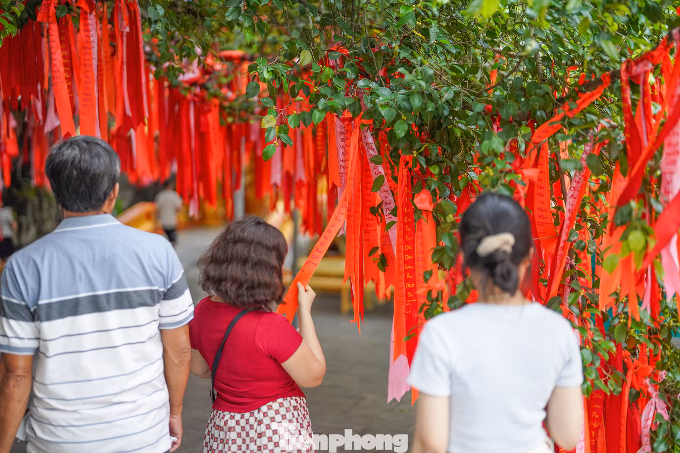 Cây ước nguyện là cây đa cổ thụ hơn 300 tuổi, nằm trong khu "rừng nguyên sinh" của Suối Tiên. Cây có tán rộng, cành lá xum xuê, cao vút lên trời xanh. Điều đặc biệt của cây là những dải lụa hồng, đỏ được người dân, du khách tham quan treo lên cây, ghi những lời ước nguyện, chủ yếu là về sức khỏe, cầu tình duyên, học hành, công việc,...