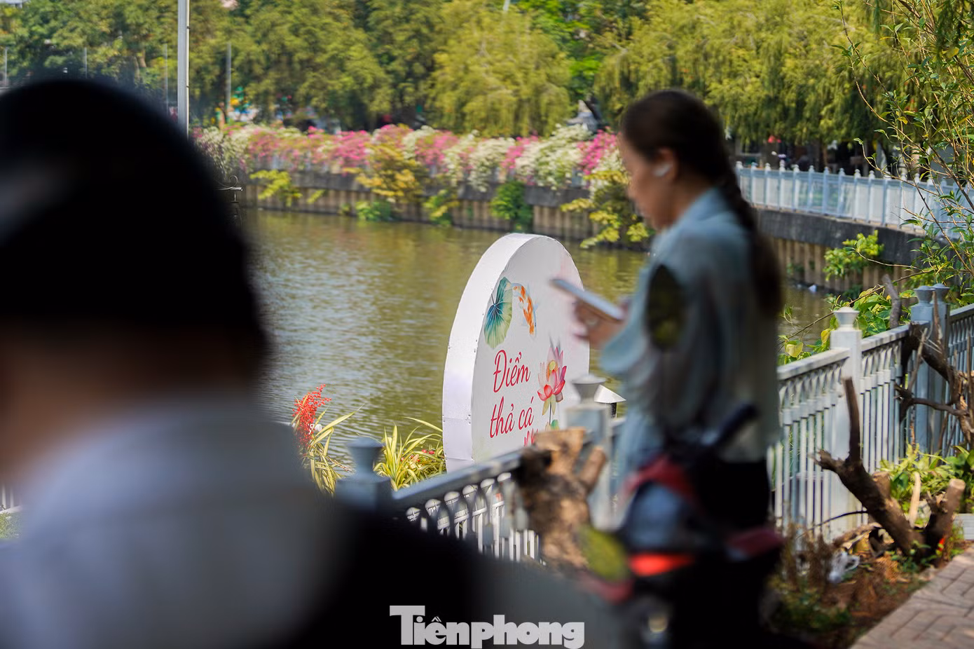 Những người thả cá thường gửi nguyện ước theo ông Táo về trời.