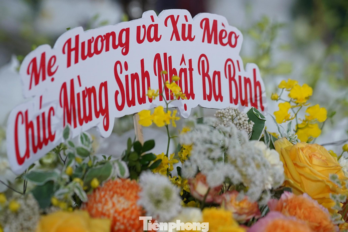 Vợ và con của đồng chí Lê Hoà Bình chuẩn bị vòng hoa "Chúc mừng sinh nhật ba Bình". Phó Chủ tịch Thường trực UBND TPHCM Lê Hòa Bình, sinh ngày 1/4/1970 tại xã Tịnh Hà (huyện Sơn Tịnh, tỉnh Quảng Ngãi). Trước sinh nhật vài ngày, người lãnh đạo trẻ của TPHCM đã không may tử nạn trong vụ TNGT.