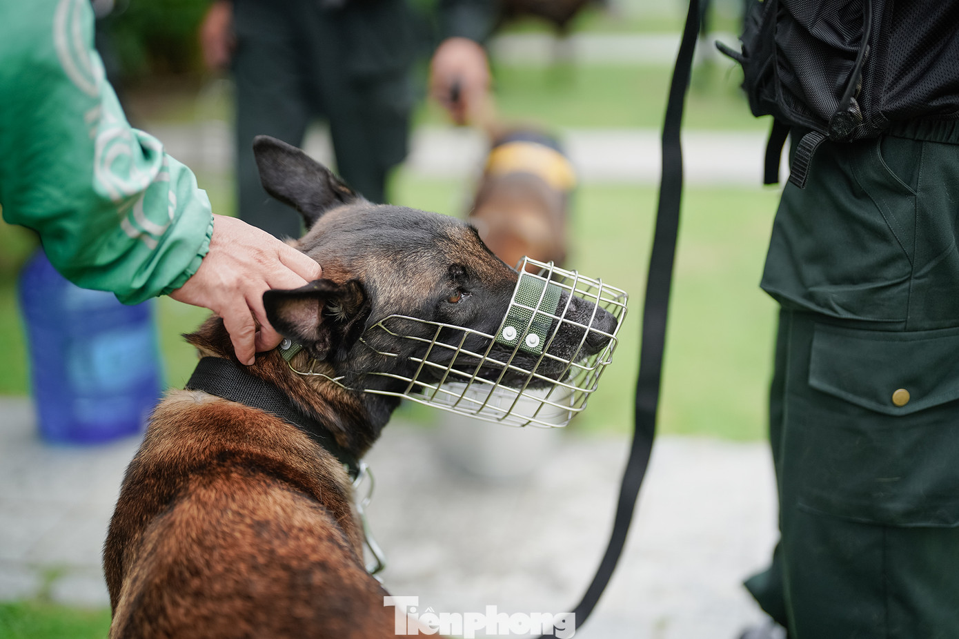 "Tôi không nghĩ là cảnh khuyển hiền và thân thiện như thế. Tôi chạy xe qua nhưng yêu chó quá nên dừng lại nựng chút xíu. Các anh công an nói cảnh khuyển rất hiền, chỉ khi có lệnh tấn công mới dũng mãnh trấn áp tội phạm", anh Nguyễn Tài Danh (ngụ TP Thủ Đức) chia sẻ.