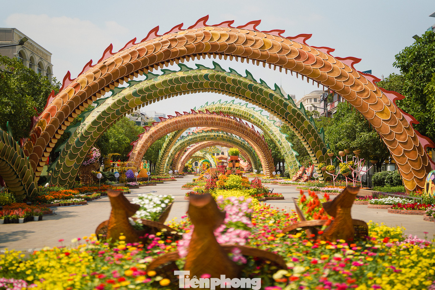 Hai con rồng ở cổng chào &quot;Lưỡng Long Triều Liên&quot;, với hình ảnh con rồng đang chuyển động gần như hoàn thiện xong. Mỗi linh vật có 5 đoạn thân uốn lượn dọc hai bên đường hoa, dài hơn 100m và kích thước vòng đầu khoảng 2m ôm lấy dọc đường hoa, tạo nên một khung cảnh hoành tráng, rực rỡ.