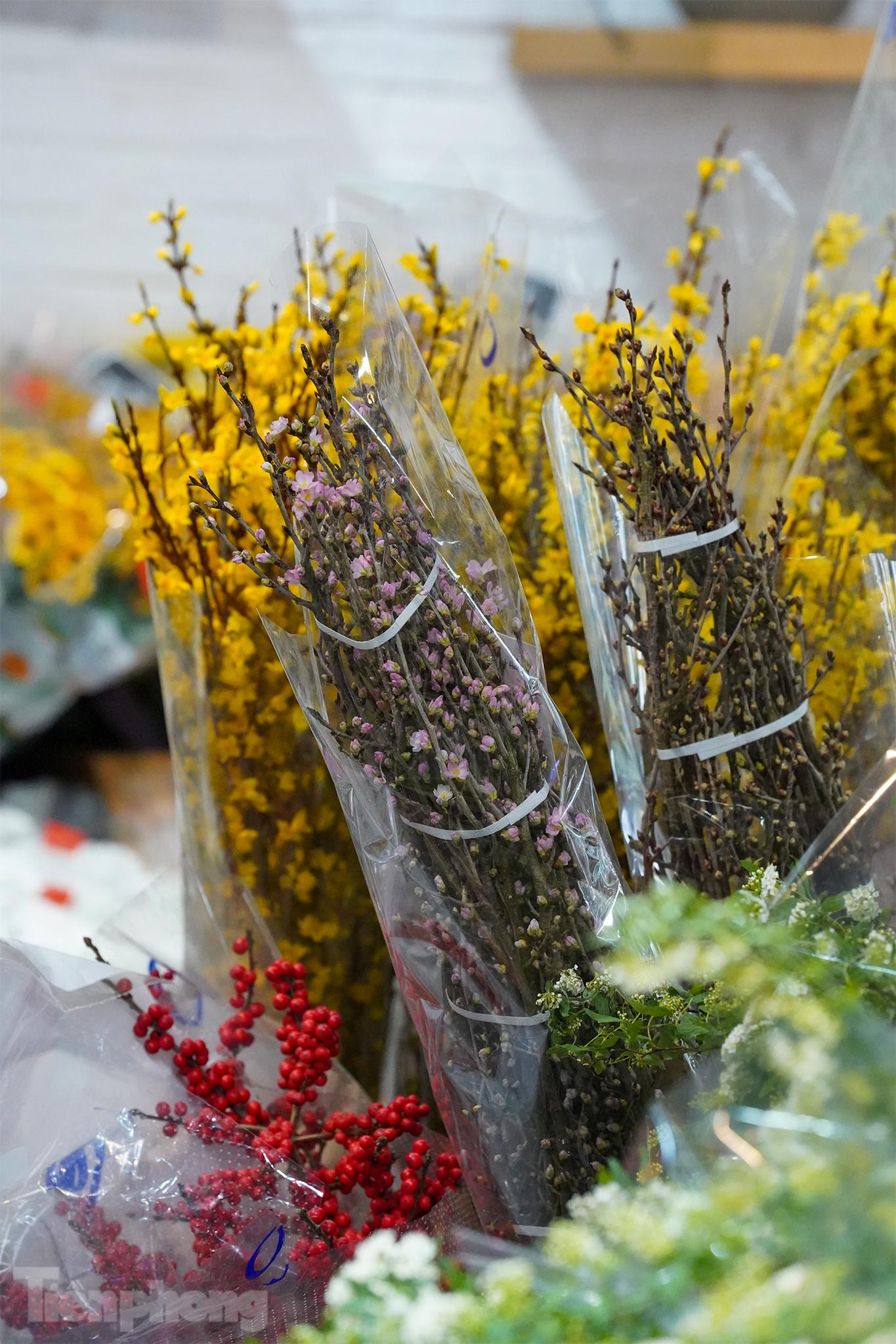 Mỗi chủng loại, từ đào đông ilex, đào Nhật, mai Mỹ...khách hàng đụng vào là mất tiền triệu. Những loại hoa nhập khẩu này có giá cao là do ảnh hưởng dịch bệnh, nguồn hàng không nhiều và nhập khẩu cũng khó khăn.