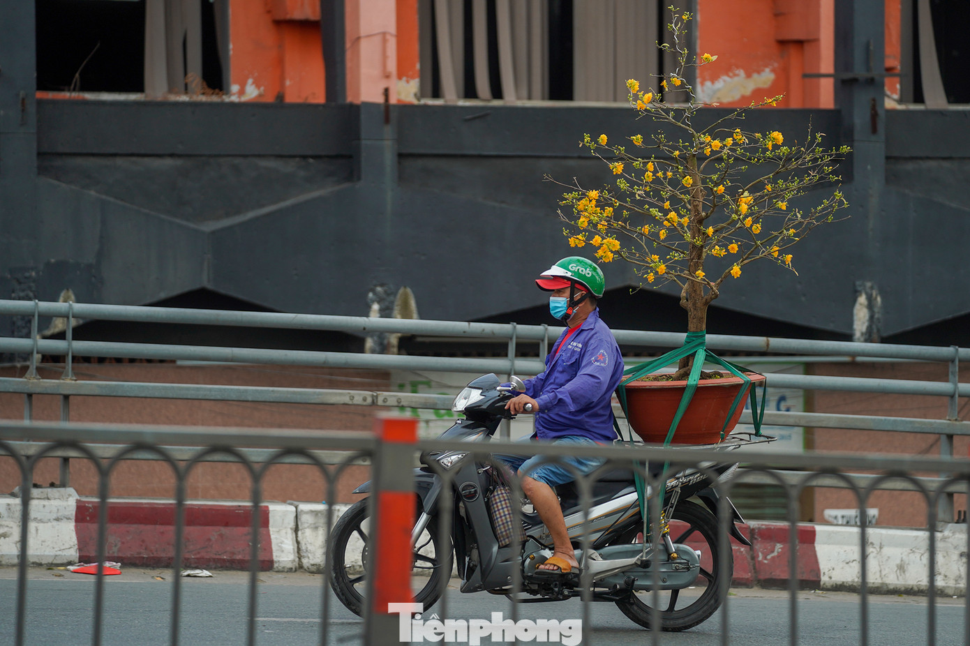 Một chậu mai vàng có giá 6 triệu đồng được bác tài chở ra từ chợ hoa "Trên bến dưới thuyền", hướng lên cầu Chà Và về quận Tân Bình giao hàng.