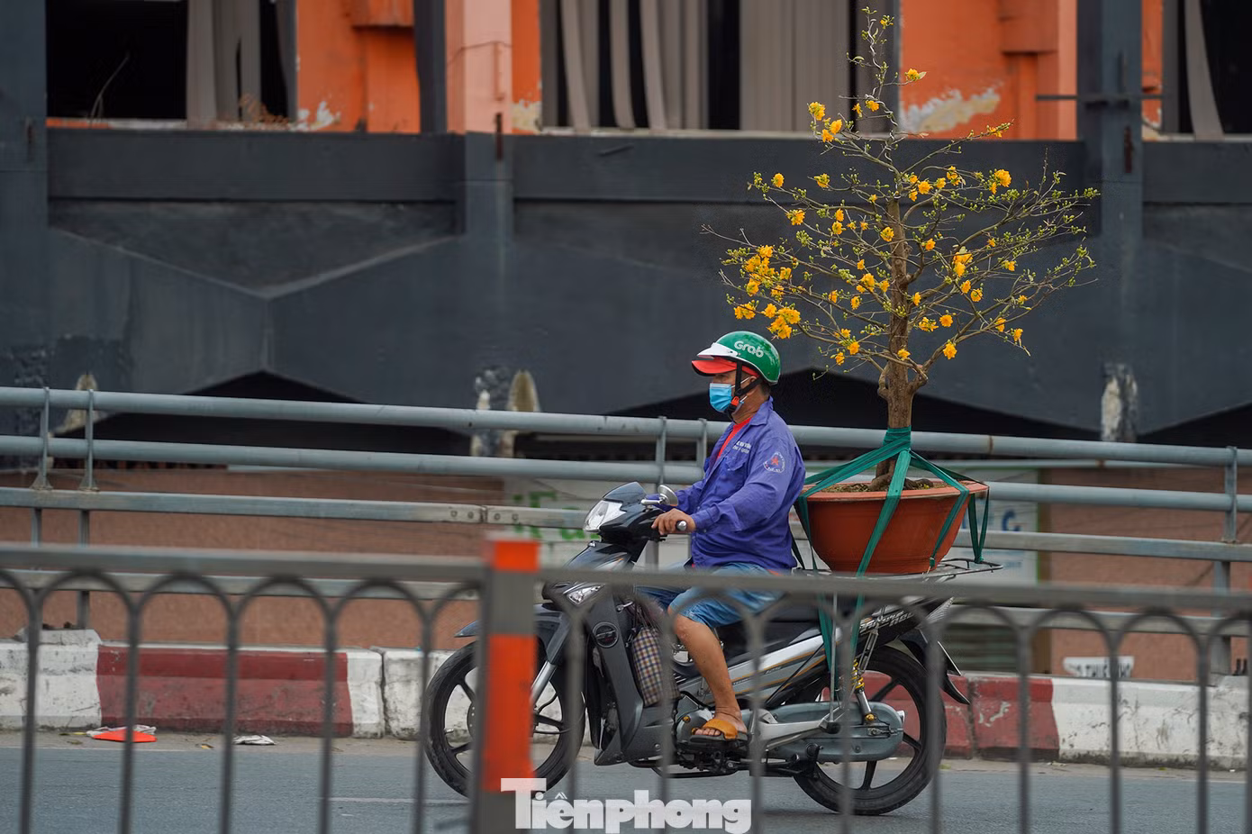 Một chậu mai vàng có giá 6 triệu đồng được bác tài chở ra từ chợ hoa "Trên bến dưới thuyền", hướng lên cầu Chà Và về quận Tân Bình giao hàng.