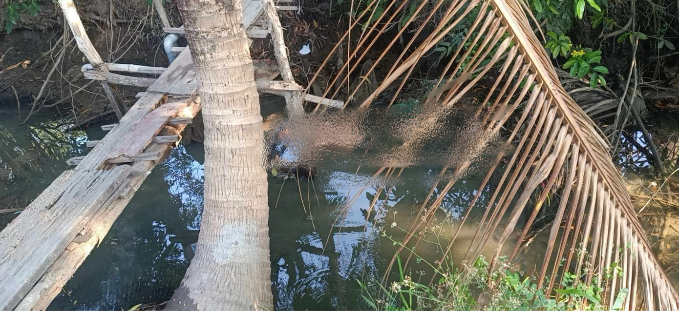 Hiện trường, nơi phát hiện thi thể nạn nhân