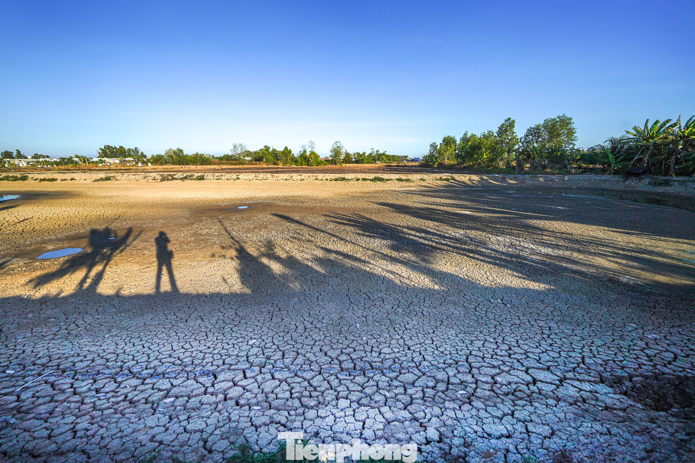 Những dấu chân cuối cùng lưu lại nơi đáy ao. Thông tin từ UBND huyện Cần Giuộc, tình hình thiếu nước tại các xã vùng hạ rất nghiêm trọng do nguồn nước cấp chính từ nước mặt do Công ty Cổ phần nước Biwase Long An không đáp ứng nhu cầu sử dụng. Để hỗ trợ người dân vùng hạ thiếu nước có nước sử dụng, từ ngày 20/3/2024 UBND các xã cùng với Công ty Cổ phần cấp nước Bằng Tâm và Công ty TNHH MTV Nước sạch Cần Giuộc đã tổ chức cấp nước đến một số khu vực thiếu nước nhưng chưa đáp ứng nhu cầu do phương tiện cấp nước không đi vào các khu vực xa, đường nông thôn nhỏ được (do xe có tải trọng lớn). Những dấu chân cuối cùng lưu lại nơi đáy ao. Thông tin từ UBND huyện Cần Giuộc, tình hình thiếu nước tại các xã vùng hạ rất nghiêm trọng do nguồn nước cấp chính từ nước mặt do Công ty Cổ phần nước Biwase Long An không đáp ứng nhu cầu sử dụng. Để hỗ trợ người dân vùng hạ thiếu nước có nước sử dụng, từ ngày 20/3/2024 UBND các xã cùng với Công ty Cổ phần cấp nước Bằng Tâm và Công ty TNHH MTV Nước sạch Cần Giuộc đã tổ chức cấp nước đến một số khu vực thiếu nước nhưng chưa đáp ứng nhu cầu do phương tiện cấp nước không đi vào các khu vực xa, đường nông thôn nhỏ được (do xe có tải trọng lớn).