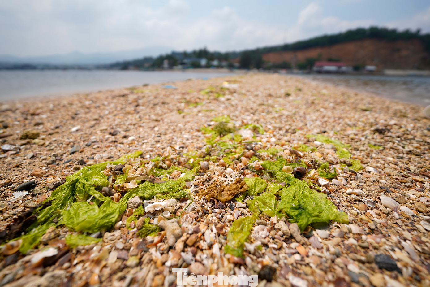 Nếu nhìn hòn đảo từ xa, từ đất liền hoặc trên con đường dưới biển, sẽ thấy đảo Nhất Tự Sơn hiện lên một màu xanh lá của rừng cây, tô điểm thêm cho cả vùng biển xung quanh, càng tiến lại gần thì cái sự hoang sơ càng được thể hiện rõ.