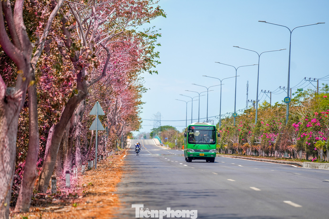 Đường Rừng Sác với tông màu mang hơi thở của mùa thu.