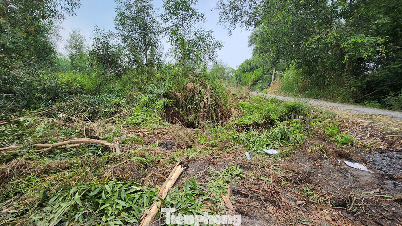 Người dân hiếu kỳ tìm đến nơi nghi phạm đã ẩn nấp. &quot;Cơ quan chức năng đã bắt được nghi phạm nên người dân yên tâm rồi, mấy ngày nay tôi không dám ra đường&quot;, một người dân chia sẻ.