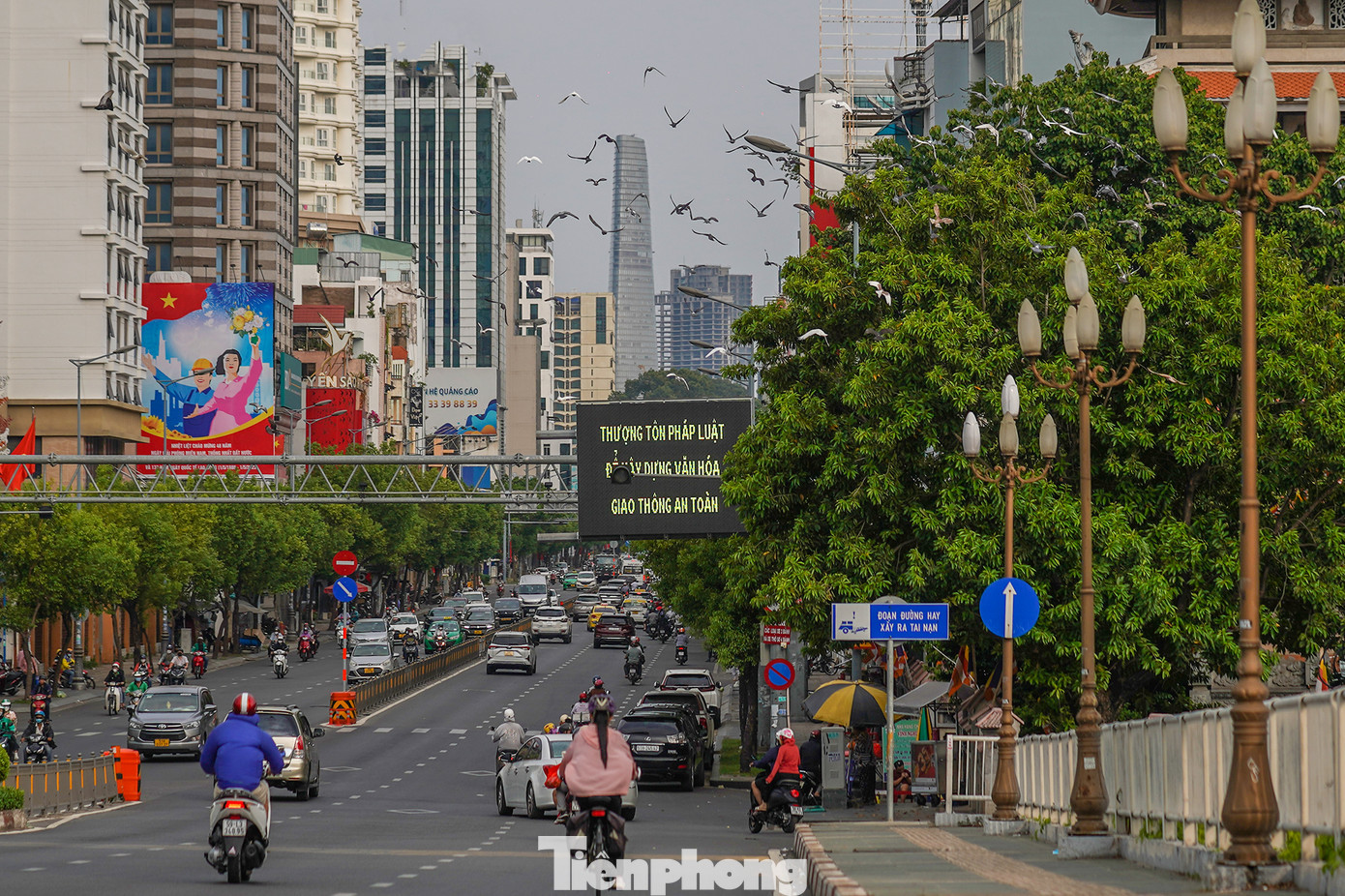 Những chú chim bồ câu tung bay tại khu vực chùa Vĩnh Nghiêm (Quận 3).