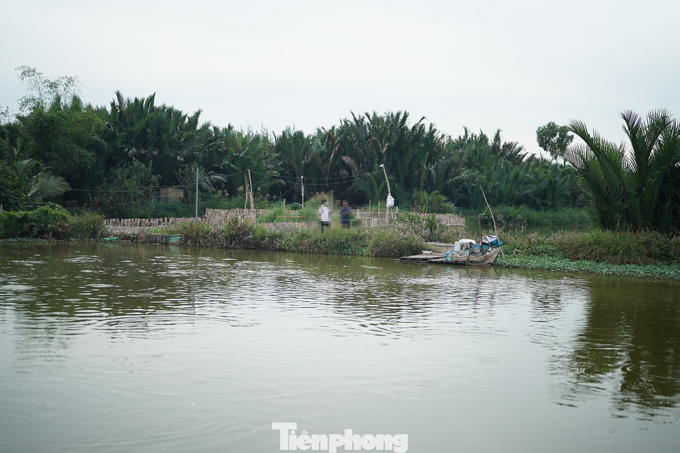 "Cứ lấy nước từ sông Rạch Chiếu vào là cá lại chết nổi trắng ao. Tình trạng này xảy ra khoảng 10 ngày rồi, cá chết nên mùi hôi thối không thể chịu được. Nước sông ở đây bẩn nhiều năm nay rồi, để nuôi cá, tôi phải bơm nước lên hồ dự phòng, xử lý xong rồi mới đưa vào hồ nuôi. Nhưng mấy ngày gần đây có thể nguồn nước bị ô nhiễm nặng hơn, hồ dự phòng cũng không thể xử lý hết nên cá mới chết", anh V. kể với phóng viên khi vừa xử lý hơn trăm ký cá chết.