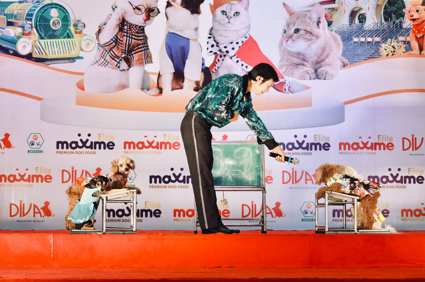 Ngày 25/11, tại Khu du lịch Văn hóa Suối Tiên đã diễn ra Ngày hội thú cưng “Pet Perfect” lần thứ nhất năm 2023. Ngày hội thu hút 500 thú cưng đa dạng chủng loài đến tham dự.