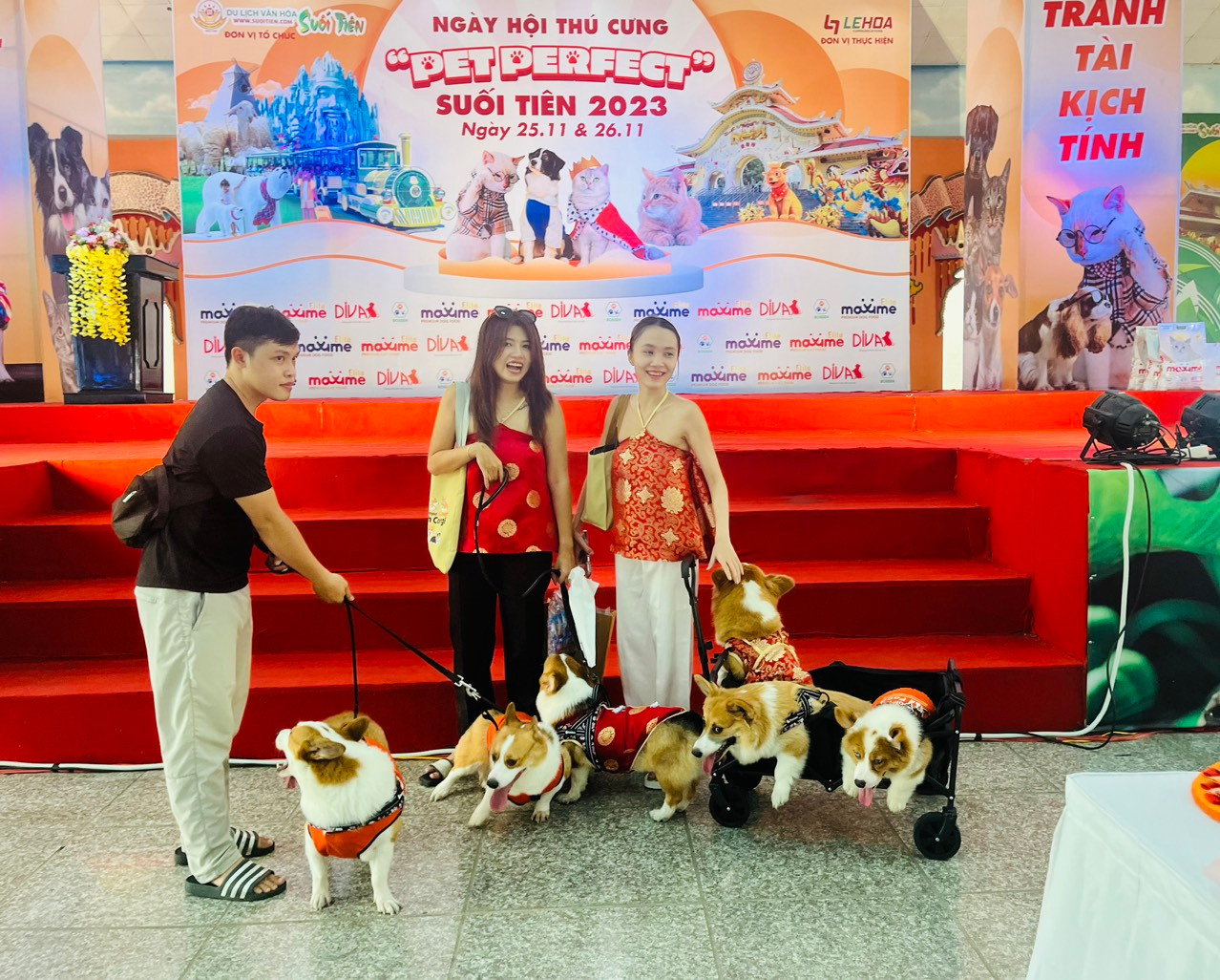 Từ sáng sớm, các thú cưng trong những bộ cánh lộng lẫy được chủ nhân đưa đến Khu du lịch Văn hóa Suối Tiên tham gia ngày hội.