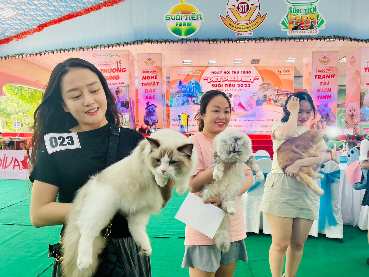 Bà Bùi Thị Tố Trinh - Phó Tổng Giám đốc Công ty Cổ phần Du lịch Văn hóa Suối Tiên cho biết, ngày hội đánh dấu sự đổi mới toàn diện nhằm đáp ứng nhu cầu vui chơi giải trí đa dạng của du khách khi đến TPHCM. Sự kiện này còn góp phần mang đến sắc màu đa dạng cho nền du lịch TPHCM, từ đó hướng đến mục tiêu phát triển bền vững, toàn diện trên thị trường du lịch đang chuyển mình phát triển mạnh mẽ từng ngày.