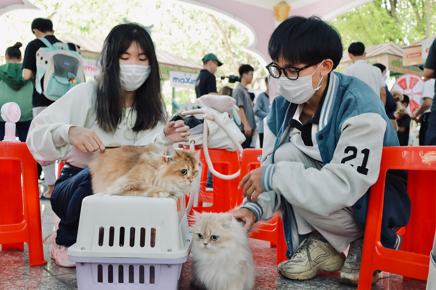 Ngày hội thú cưng vừa là sân chơi vừa là cơ hội cho thú cưng trổ tài, theo đó ngày hội “Pet Perfect” Suối Tiên 2023 có 4 cuộc thi bao gồm: Top Dog Wellness, Top Dog Model, Top Cat Model, Top Cat Wellness với tổng giải thưởng gần 20 triệu đồng. Mỗi thành viên đăng ký dự thi sẽ đóng phí 49.000 đồng và tổng số tiền thu được sẽ được Ban tổ chức trao tặng cho các quỹ và trung tâm nuôi chó mèo cơ nhỡ.