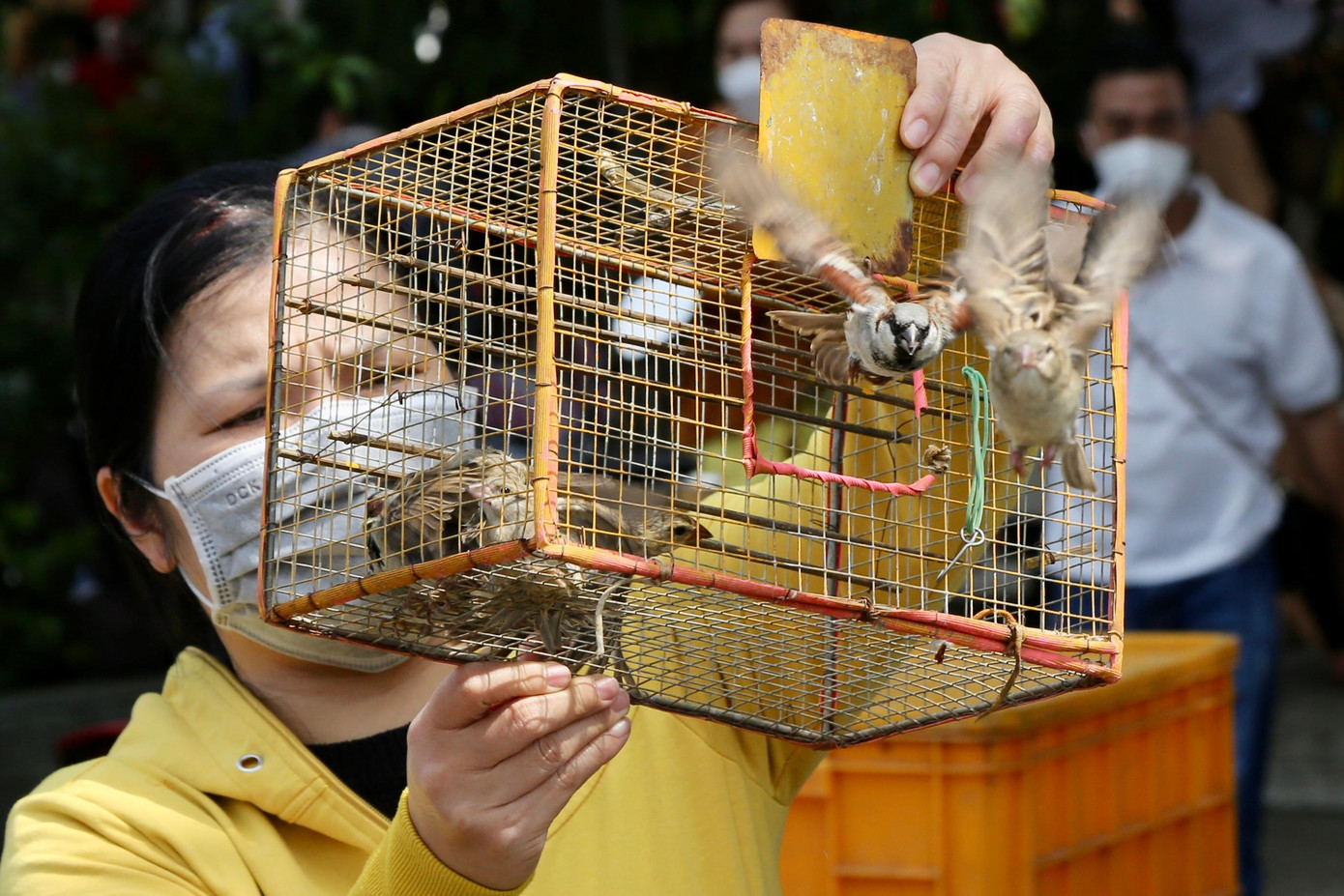 Tại chùa Diệu Pháp (quận Bình Thạnh) cũng có nhiều người dân đến đây cầu nguyện, thả đèn hoa đăng và phóng sinh nhân ngày Lễ Vu Lan báo hiếu. Theo phong tục của người Việt, ngày Vu Lan thường đi kèm với nghi thức phóng sinh. Phóng sinh đã trở thành việc hành thiện phổ biến diễn ra không chỉ Rằm tháng 7 âm lịch, mà còn trong dịp Tết, Lễ cúng ông Táo. Lễ vật phóng sinh có nhiều loài như ốc, cua, cá, lươn, chim… Vì vậy, tại chùa Diệu Pháp, sau khi thắp hương cầu nguyện, nhiều người mang cá, ốc, cua, chim,… ra khu vực bờ sông phóng sinh. Tại chùa Diệu Pháp (quận Bình Thạnh) cũng có nhiều người dân đến đây cầu nguyện, thả đèn hoa đăng và phóng sinh nhân ngày Lễ Vu Lan báo hiếu. Theo phong tục của người Việt, ngày Vu Lan thường đi kèm với nghi thức phóng sinh. Phóng sinh đã trở thành việc hành thiện phổ biến diễn ra không chỉ Rằm tháng 7 âm lịch, mà còn trong dịp Tết, Lễ cúng ông Táo. Lễ vật phóng sinh có nhiều loài như ốc, cua, cá, lươn, chim… Vì vậy, tại chùa Diệu Pháp, sau khi thắp hương cầu nguyện, nhiều người mang cá, ốc, cua, chim,… ra khu vực bờ sông phóng sinh.