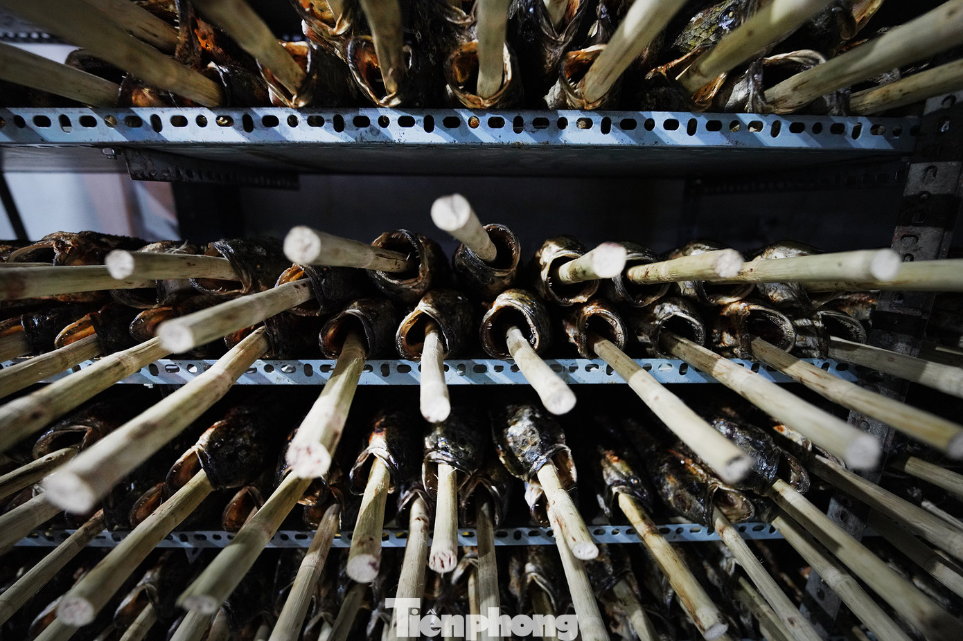 Hàng trăm con cá lóc nướng mía được xử lý sơ để kịp phục vụ khách hàng. Cá là biểu tượng của sự sinh sôi nảy nở và phát tài phát lộc trong nhiều nền văn hóa Đông Á, trong đó có Việt Nam. Cá lóc nướng thường được dùng trong các nghi lễ cúng Thần tài. Người dân tin rằng cá sẽ giúp cầu mong tài lộc, may mắn, đặc biệt là trong các công việc kinh doanh, buôn bán. Hàng trăm con cá lóc nướng mía được xử lý sơ để kịp phục vụ khách hàng. Cá là biểu tượng của sự sinh sôi nảy nở và phát tài phát lộc trong nhiều nền văn hóa Đông Á, trong đó có Việt Nam. Cá lóc nướng thường được dùng trong các nghi lễ cúng Thần tài. Người dân tin rằng cá sẽ giúp cầu mong tài lộc, may mắn, đặc biệt là trong các công việc kinh doanh, buôn bán.