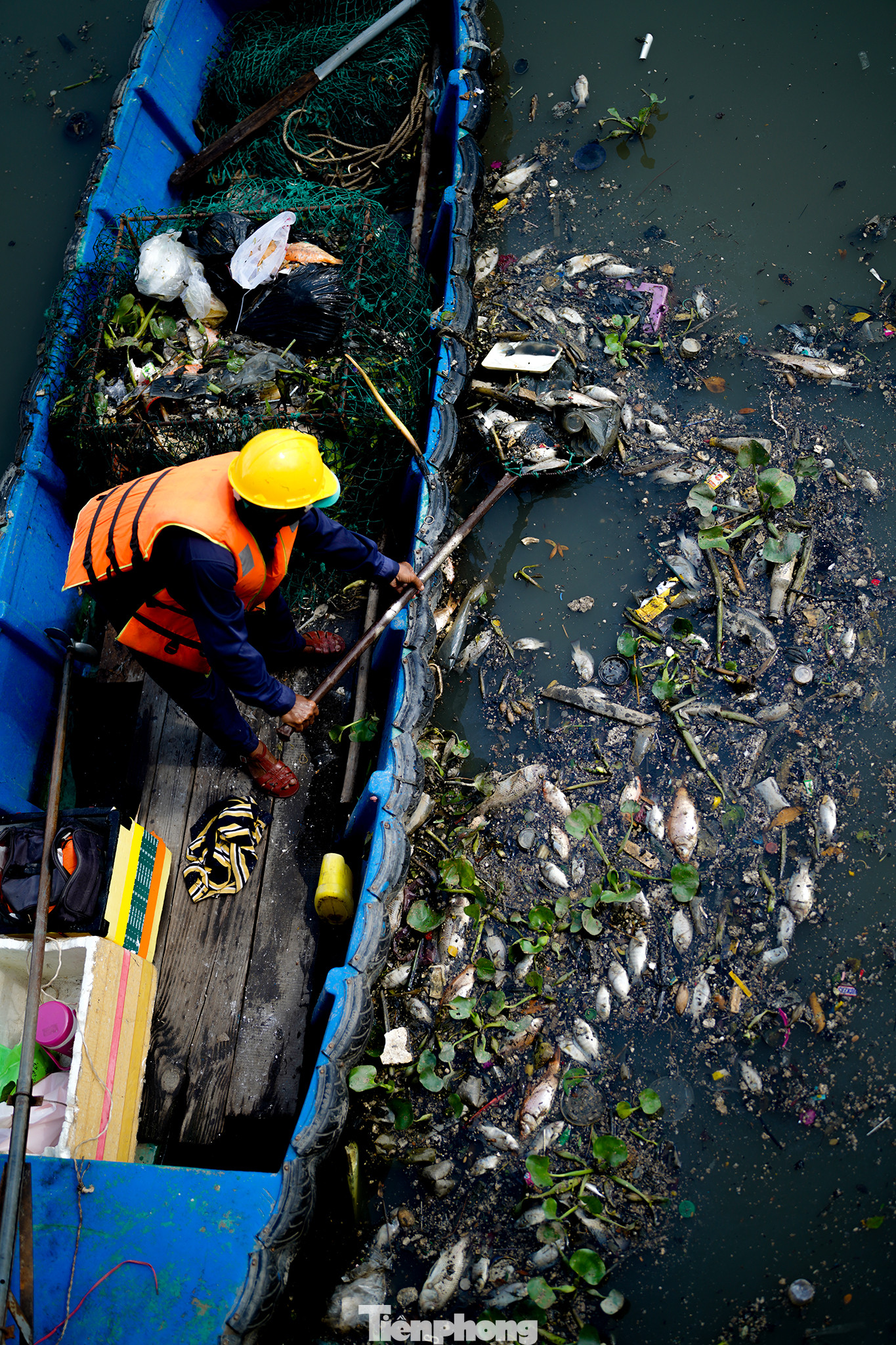 Tối 8/5, lượng cá chết nổi dày đặc một số đoạn kênh. Đến sáng 9/5, công tác dọn dẹp được triển khai nhanh. Tối 8/5, lượng cá chết nổi dày đặc một số đoạn kênh. Đến sáng 9/5, công tác dọn dẹp được triển khai nhanh.