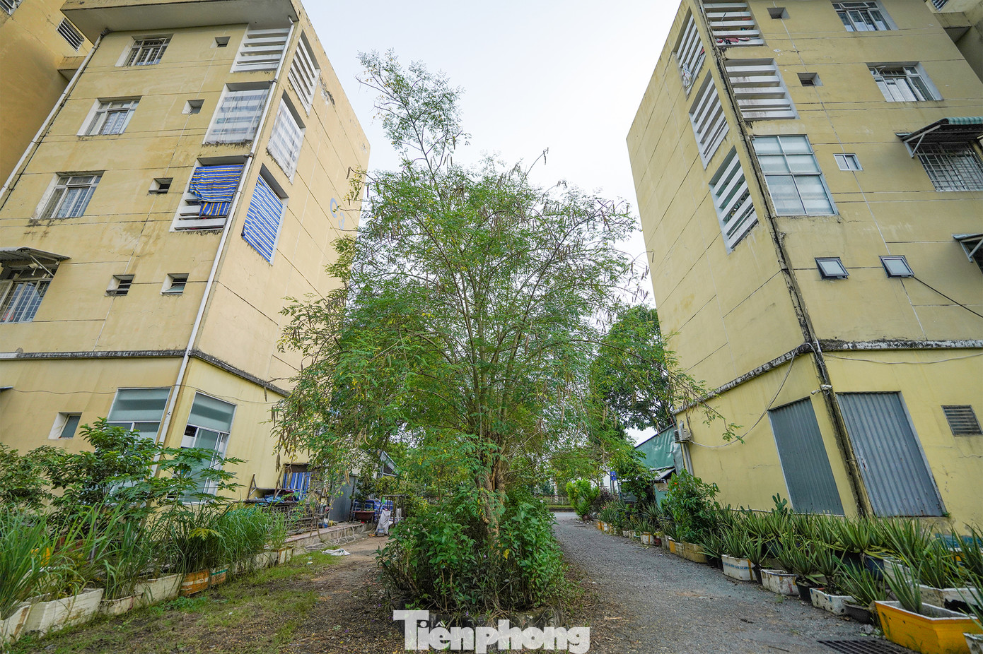 Có lẽ khu C là nơi nhộn nhịp nhất ở khu tái định cư Vĩnh Lộc B bởi dãy nhà mặt tiền mở cơ sở kinh doanh. Tuy nhiên đó chỉ là bên ngoài, còn nội khu cũng ít tiện ích, cây cỏ um tùm như các khu khác.