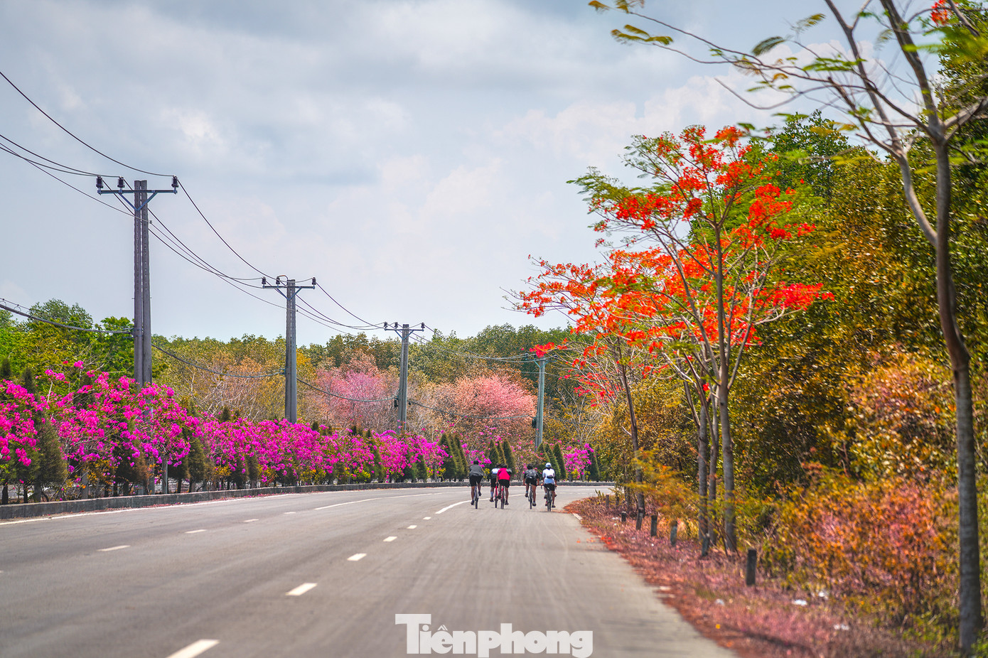 Trước khi có tuyến đường rộng 6 làn xe như hiện tại, con đường độc đạo xuyên rừng, hướng ra biển Cần Giờ chỉ là đường đất nhỏ hẹp, đủ cho một người, một phương tiện di chuyển qua. Đường Rừng Sác được nâng cấp lần đầu tiên vào năm 1985. Khi đó, tuyến đường đất sình lầy được chuyển thành đường cấp phối bằng sỏi và đá. Nhiều nhóm bạn trẻ nhà ở Quận 7, huyện Nhà Bè chọn con đường này để đạp xe, hóng gió...