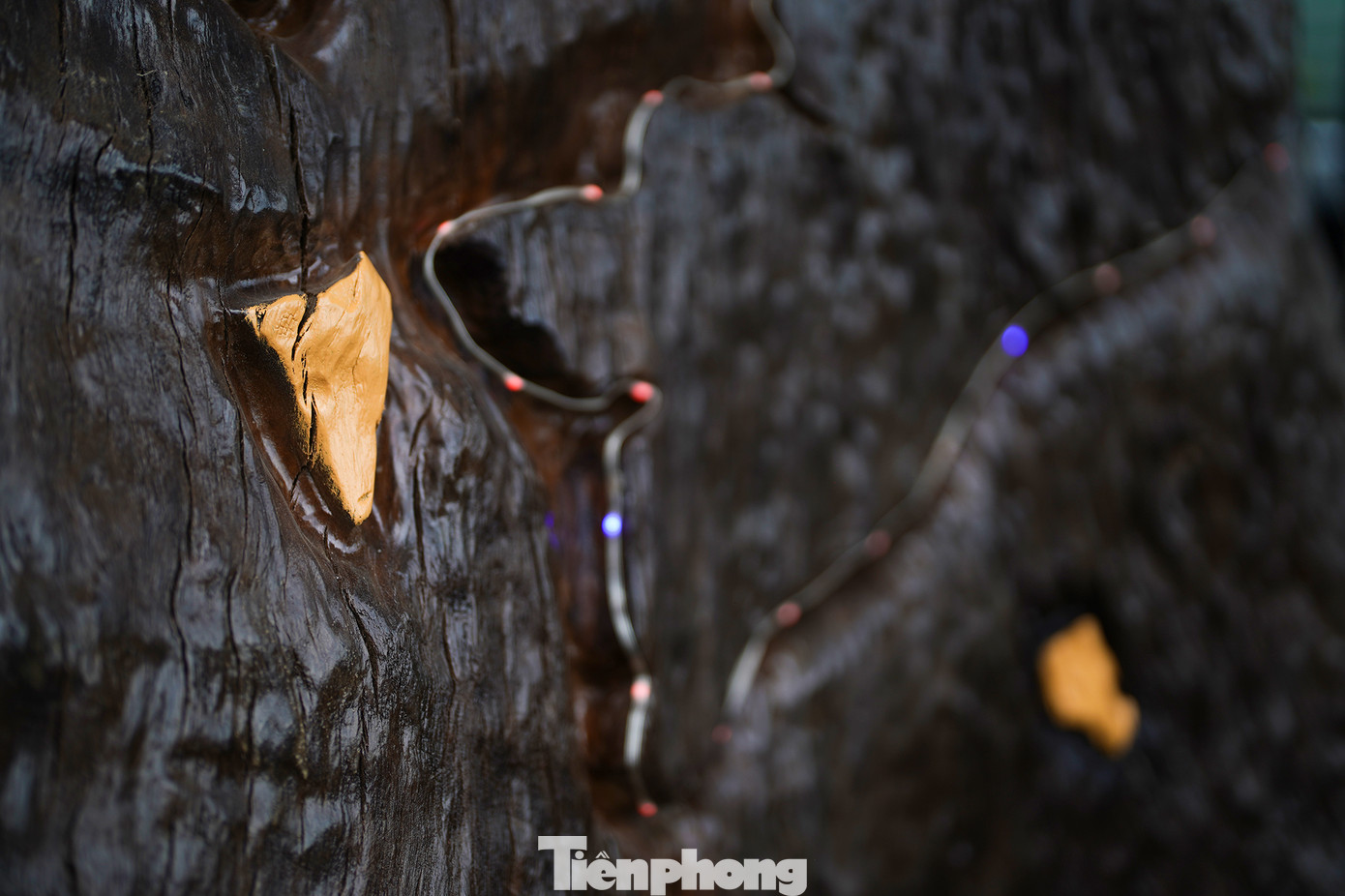 Phần quần đảo Phú Quốc và Côn Đảo được thể hiện sơn son thếp vàng. Phần quần đảo Phú Quốc và Côn Đảo được thể hiện sơn son thếp vàng.