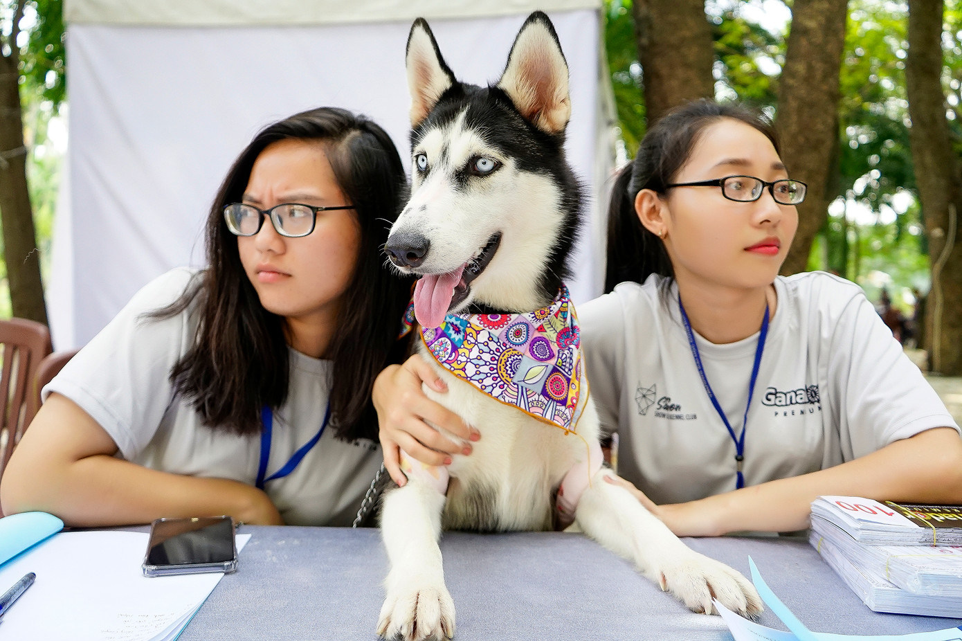 Du khách sẽ có nhiều bức ảnh độc đáo bên những chú thú cưng đáng yêu. Du khách sẽ có nhiều bức ảnh độc đáo bên những chú thú cưng đáng yêu.