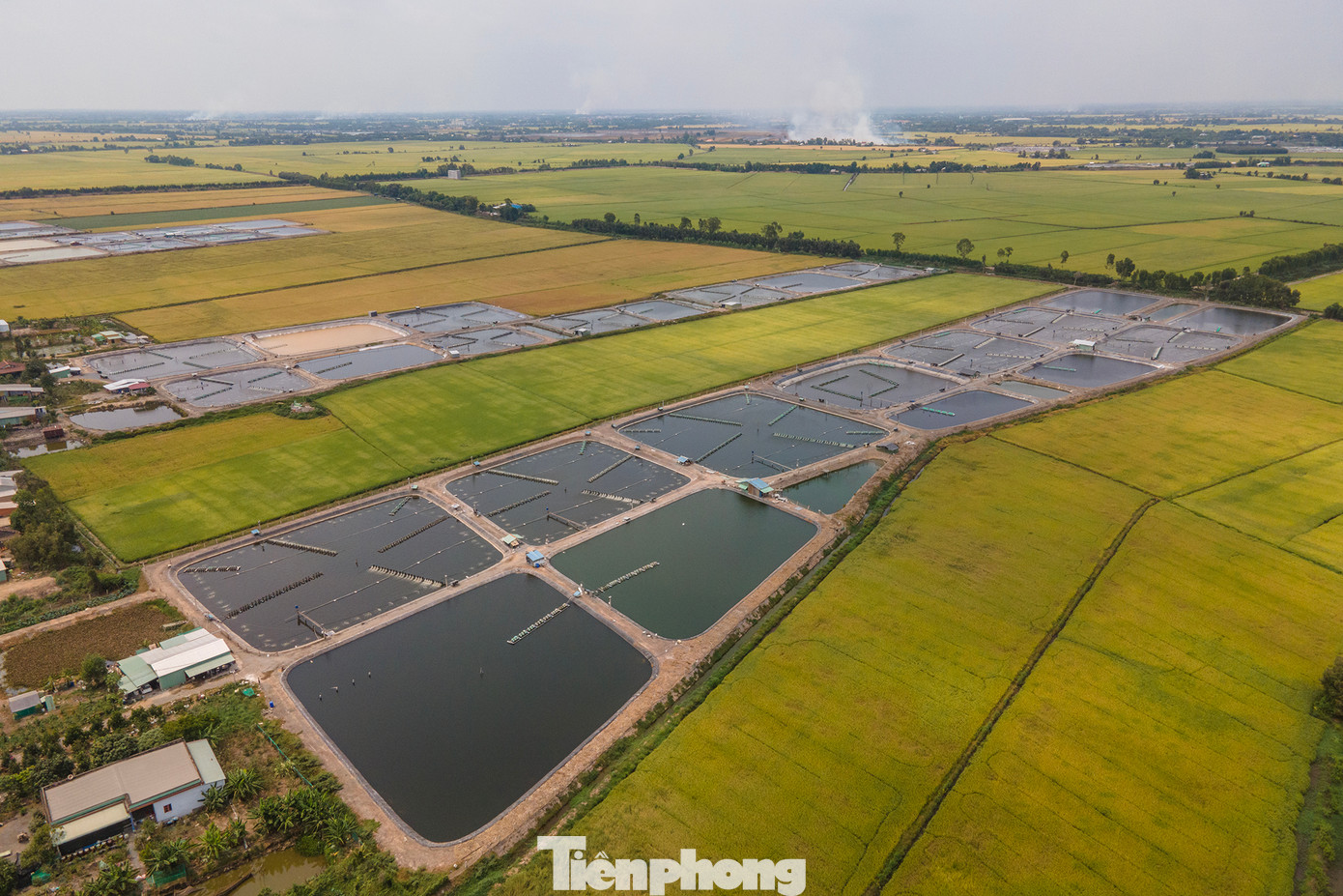 Năm 2022, huyện Thạnh Hoá xử lý 7 trường hợp, phạt 140 triệu đồng, trám lấp 8 giếng khoan lấy nước. Năm 2022, huyện Thạnh Hoá xử lý 7 trường hợp, phạt 140 triệu đồng, trám lấp 8 giếng khoan lấy nước.