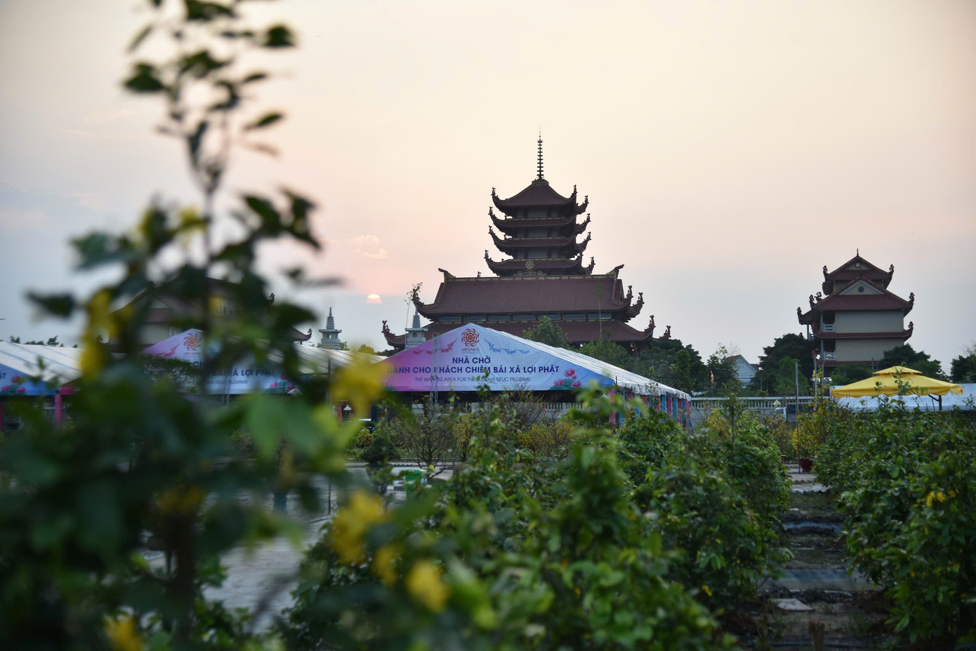 Người dân hạn chế mang theo túi xách, ba lô và đồ đạc cá nhân, không mang theo vũ khí, chất nổ, chất cháy, đồ ăn, thức uống, các vật dụng có thể làm mất trật tự, hoặc ảnh hưởng đến sự an toàn và trang nghiêm nơi tôn trí. Để bày tỏ lòng tôn kính đối với Đức Phật, ban tổ chức mong người dân thực hiện những lưu ý trên để việc chiêm bái đúng ý nghĩa thiêng liêng và trang nghiêm.